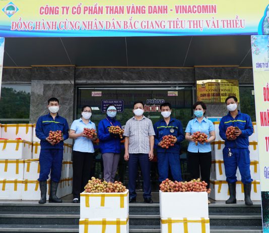 Than Vàng Danh tiêu thụ 11 tấn vải thiều hỗ trợ nhân dân Bắc Giang